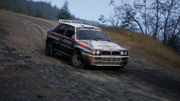 Игра Assetto Corsa Rally, скриншот