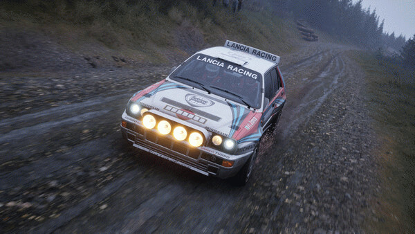 Игра Assetto Corsa Rally, скриншот