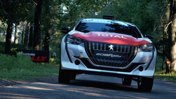 Игра Assetto Corsa Rally, скриншот