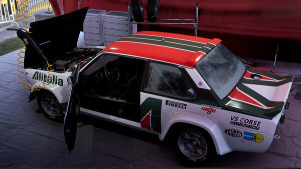 Игра Assetto Corsa Rally, скриншот