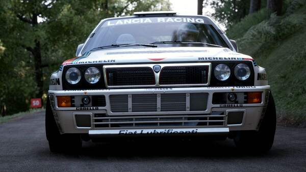 Игра Assetto Corsa Rally, скриншот