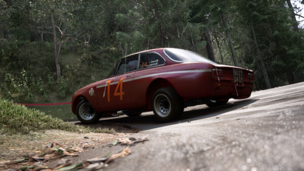 Игра Assetto Corsa Rally, скриншот