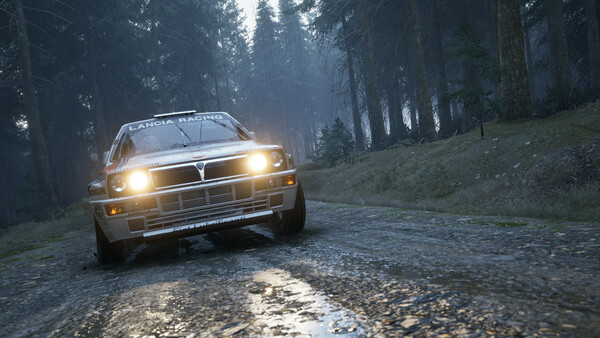 Игра Assetto Corsa Rally, скриншот
