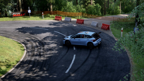 Игра Assetto Corsa Rally, скриншот