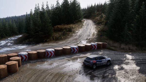 Игра Assetto Corsa Rally, скриншот