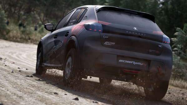Игра Assetto Corsa Rally, скриншот