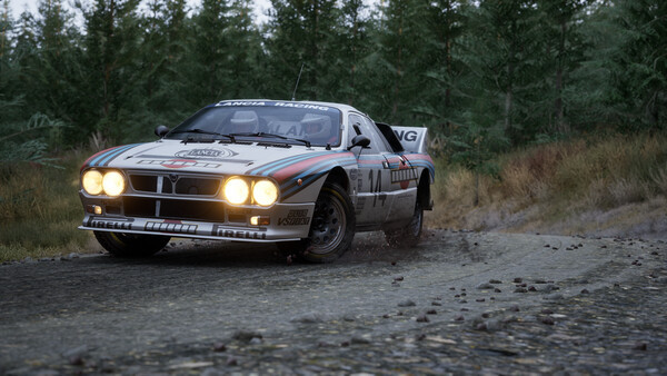 Игра Assetto Corsa Rally, скриншот