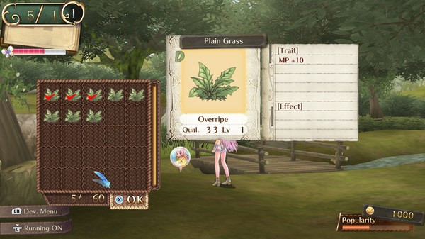 Игра Atelier Meruru ~The Apprentice of Arland~ DX, скриншот