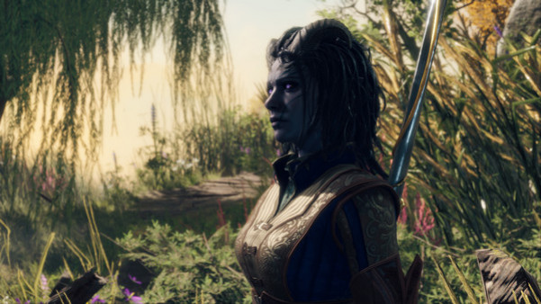 Игра Baldur's Gate 3, скриншот