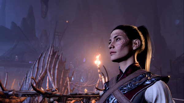 Игра Baldur's Gate 3, скриншот