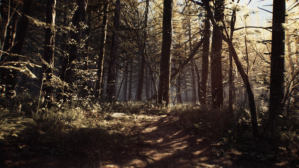 Игра Blair Witch Original Soundtrack, скриншот