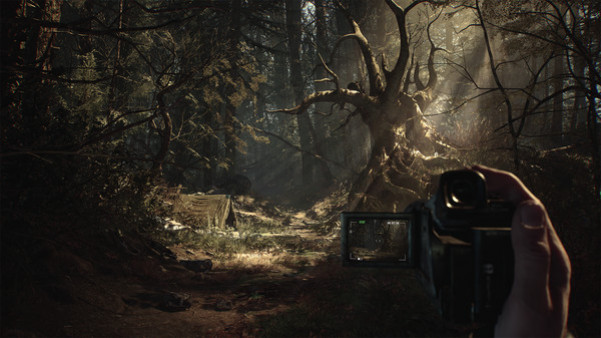 Игра Blair Witch, скриншот