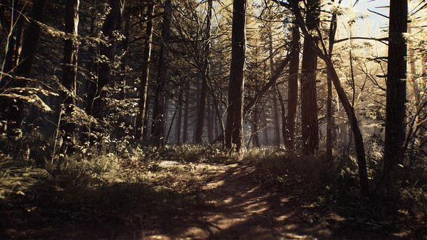 Игра Blair Witch, скриншот
