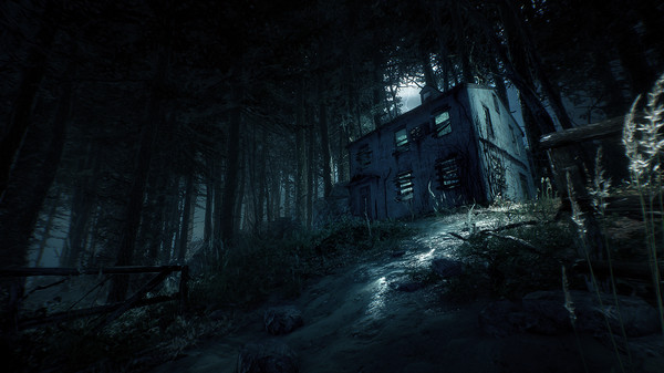 Игра Blair Witch, скриншот