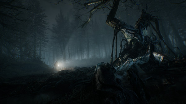 Игра Blair Witch, скриншот