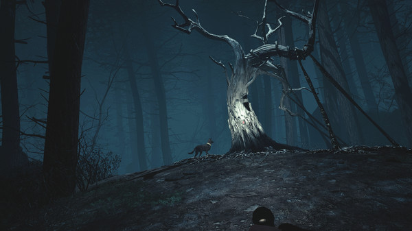 Игра Blair Witch VR, скриншот