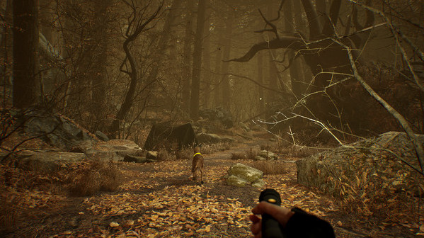 Игра Blair Witch VR, скриншот