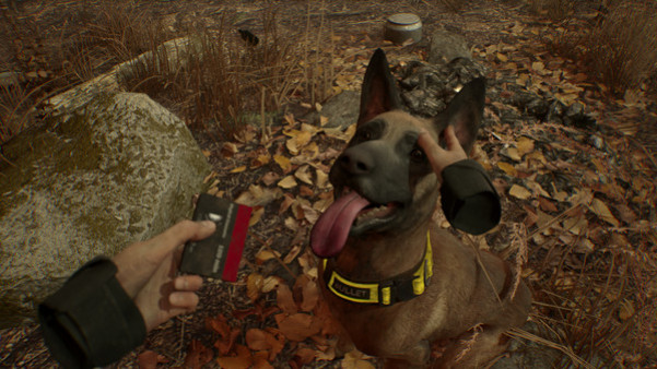 Игра Blair Witch VR, скриншот