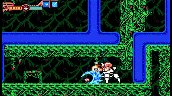 Игра Blaster Master Zero 2 - DLC Playable Character: Empress from "Dragon Marked For Death", скриншот