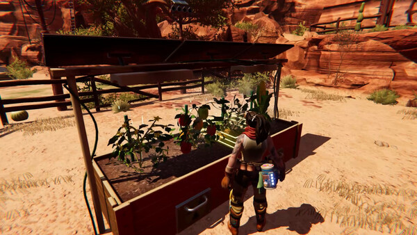 Игра Bounty Star, скриншот