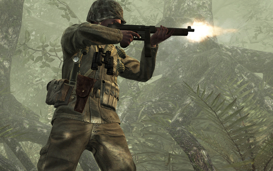 Игра Call of Duty: World at War, скриншот