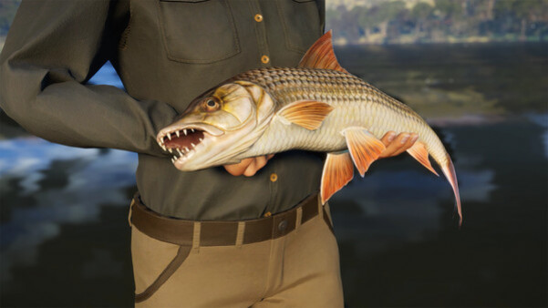 Игра Call of the Wild: The Angler - South Africa Reserve, скриншот