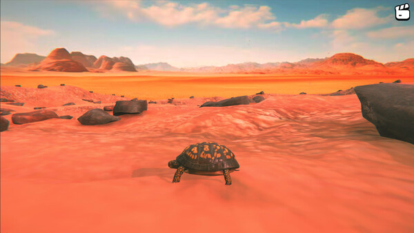 Игра Catch the Turtle, скриншот