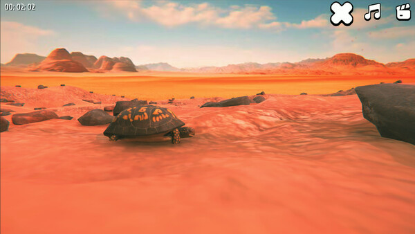 Игра Catch the Turtle, скриншот