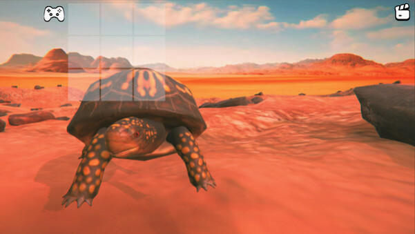 Игра Catch the Turtle, скриншот