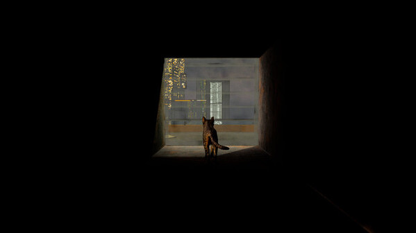 Игра Cats Ritual, скриншот