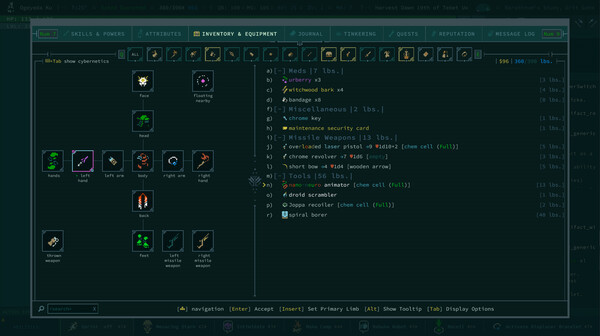 Игра Caves of Qud, скриншот