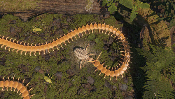 Игра Centipede Simulator, скриншот