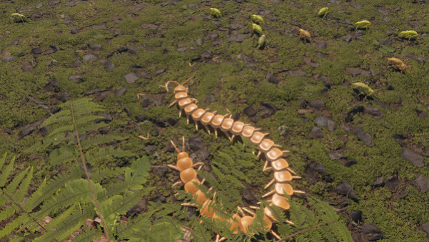 Игра Centipede Simulator, скриншот