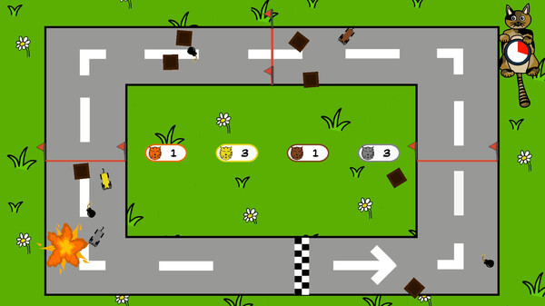 Игра Chaotic Cats, скриншот