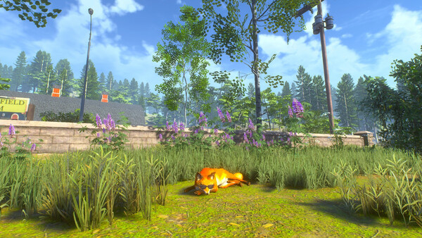Игра Chill Fox, скриншот
