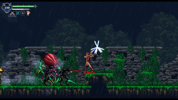 Игра Chronicles of the Wolf, скриншот