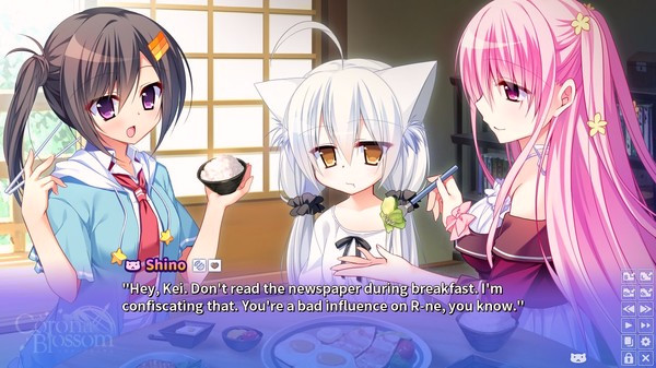 Игра Corona Blossom Vol.1 Gift From the Galaxy, скриншот