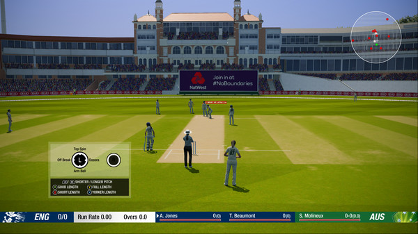 Игра Cricket 19, скриншот
