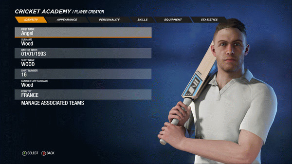 Игра Cricket 19, скриншот