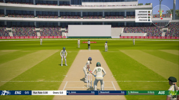 Игра Cricket 19, скриншот