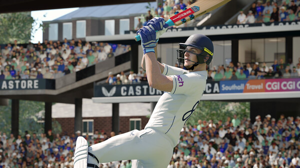 Игра Cricket 24, скриншот