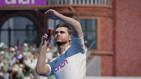 Игра Cricket 24, скриншот