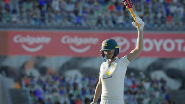 Игра Cricket 24, скриншот
