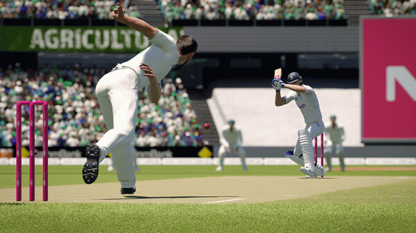 Игра Cricket 24, скриншот