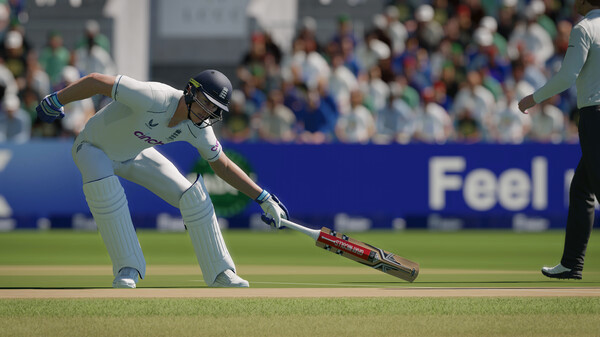 Игра Cricket 24, скриншот