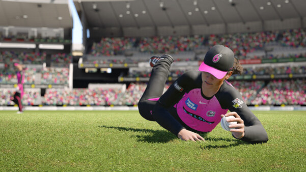 Игра Cricket 24, скриншот