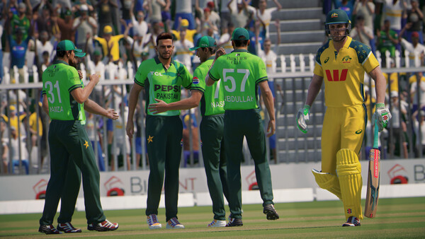 Игра Cricket 26 - The Official Game of the Ashes, скриншот