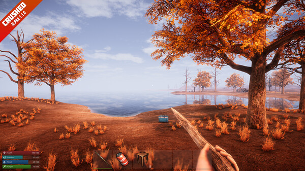 Игра Crushed, скриншот