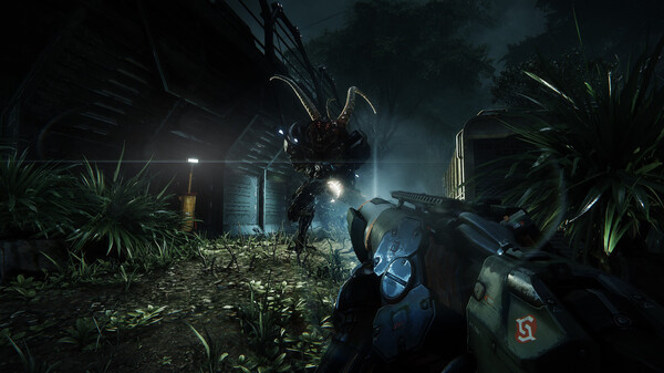 Игра Crysis 3 Remastered, скриншот