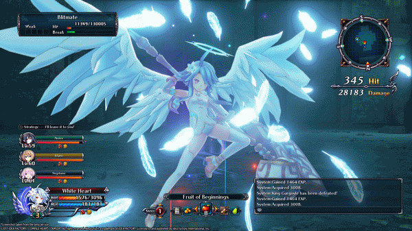 Игра Cyberdimension Neptunia: 4 Goddesses Online, скриншот